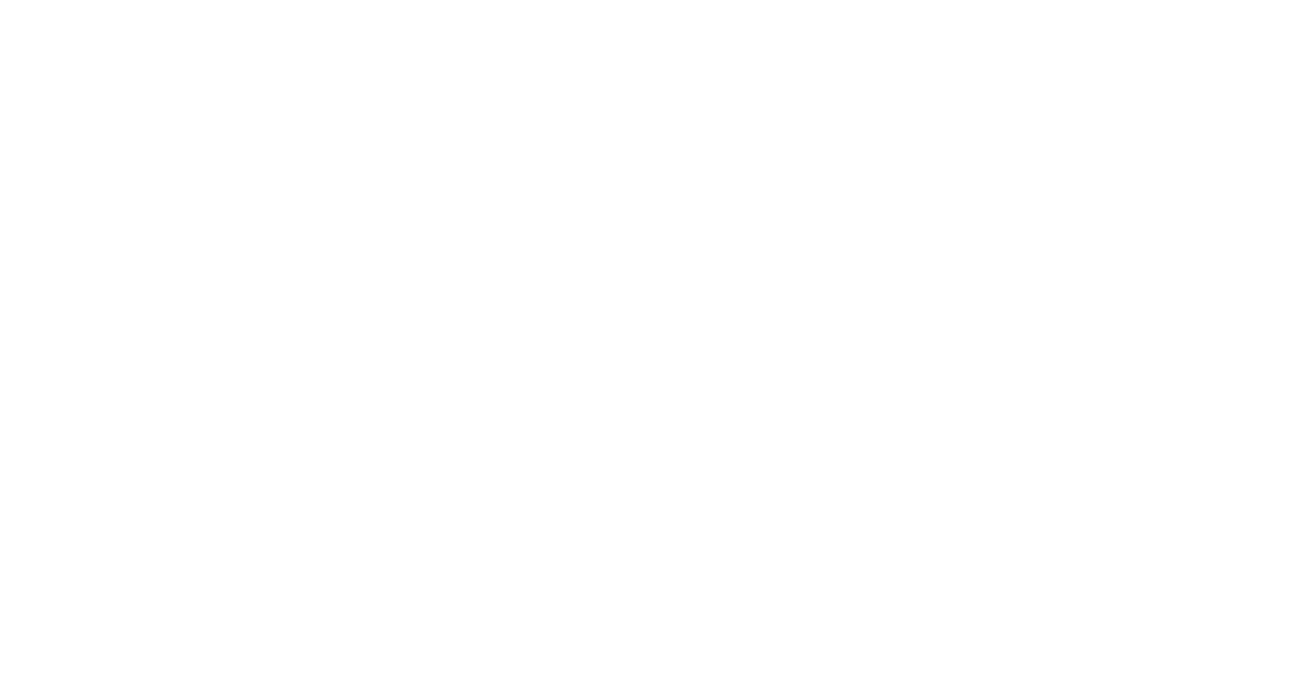 Orbit Interactive Services